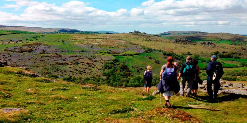 Dartmoor Walks This Way