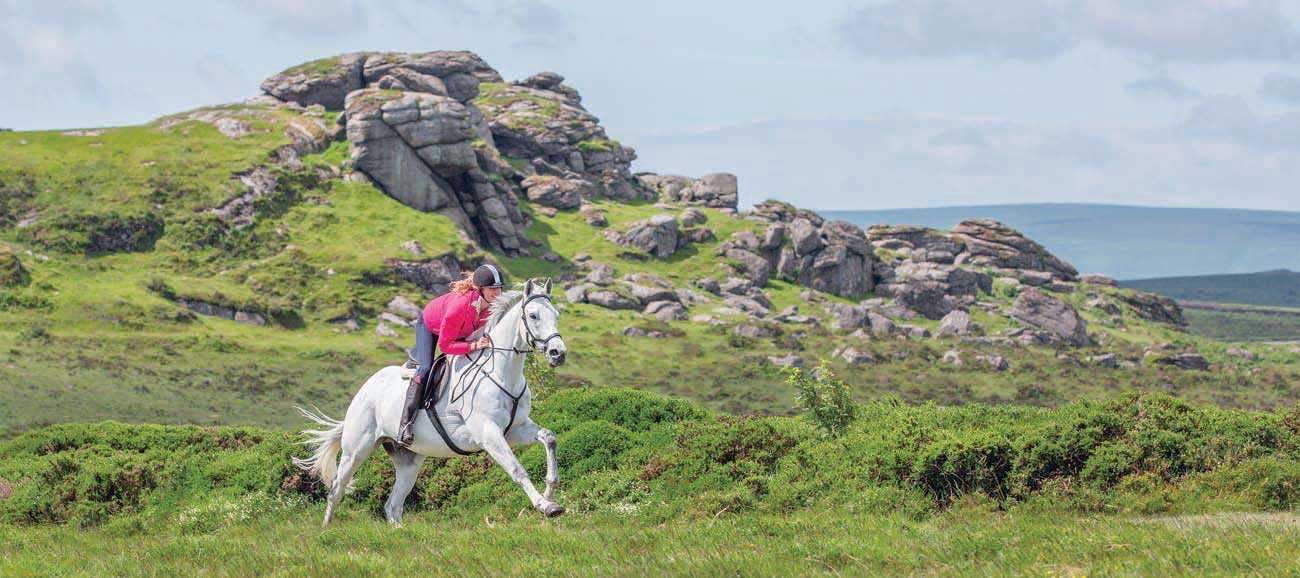 Horse Riding on Dartmoor