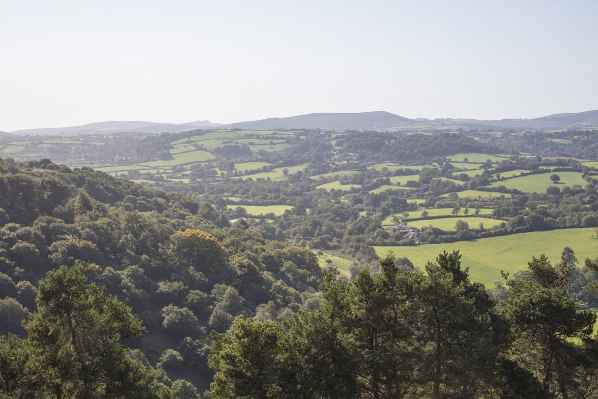 View over the Teign valley.