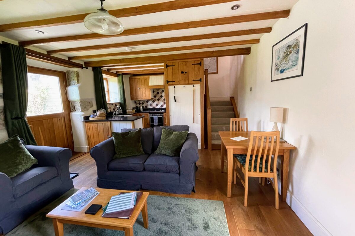 Widecombe Cottage - Living room