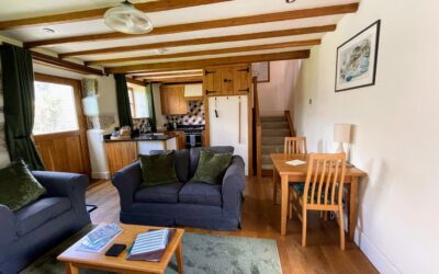 Widecombe Cottage - Living room