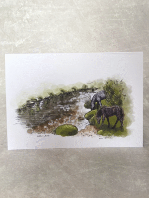 Dartmoor Greetings Cards