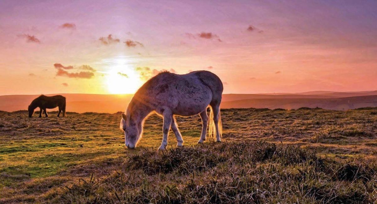 A Nature Lover's Photography Day